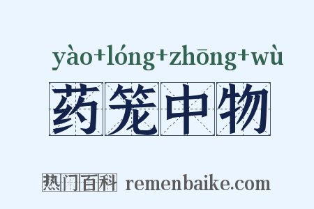 药笼中物是什么意思的图片